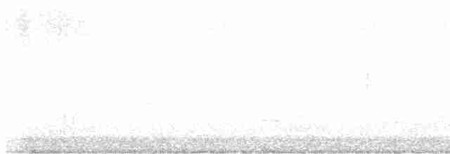 vlhovec červenokřídlý - ML619134791