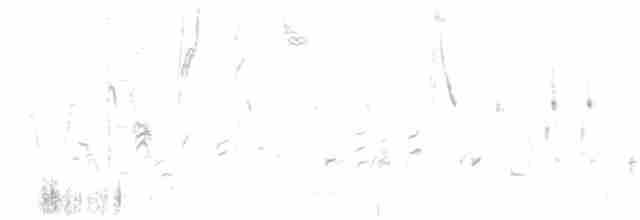 דרורן זהוב - ML619135252