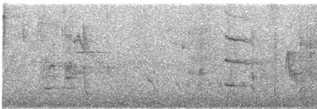 Инкская земляная горлица - ML619135574