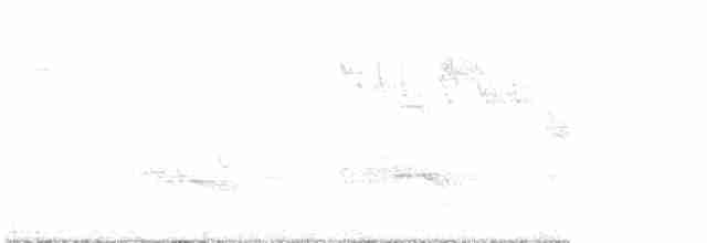 西方秧雞 - ML619135919