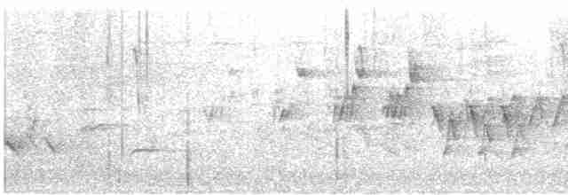 Черногорлая хвойница - ML619135932