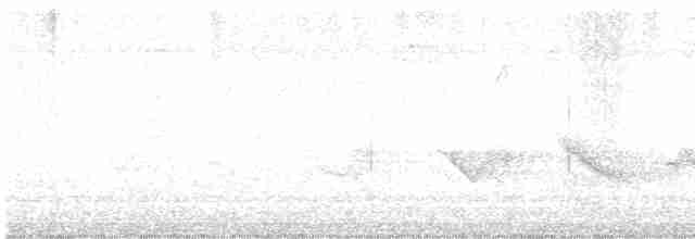 Піранга кармінова - ML619136375