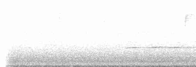 Blackpoll Warbler - ML619136749