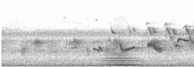 Oriole des vergers - ML619136758