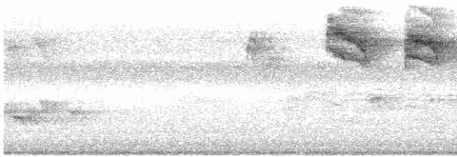 nordmyggsmett (caerulea) - ML619136784