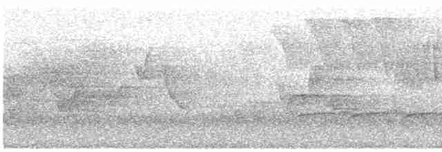 Paruline vermivore - ML619136869