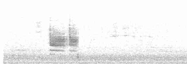 Provencegrasmücke - ML619136884