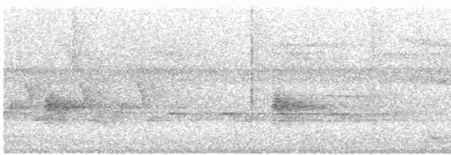 Chouette rayée - ML619136901