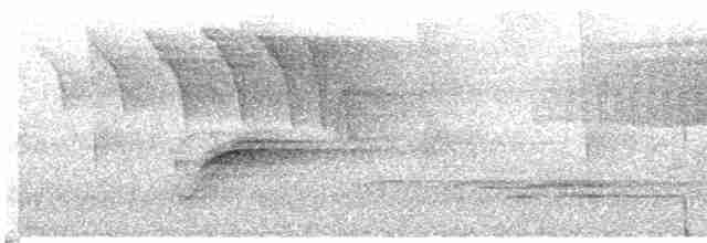 Paruline vermivore - ML619136919