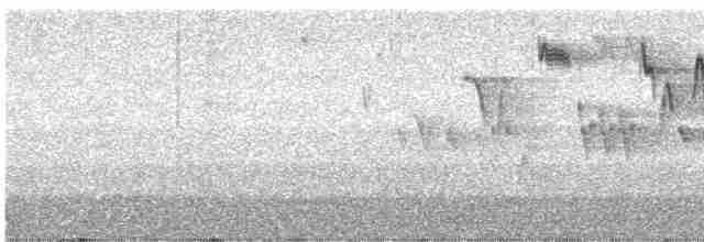 Тихоокеанский крапивник - ML619137075