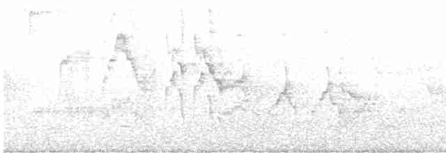 Gri Yanaklı Bülbül Ardıcı - ML619137232