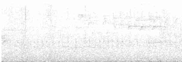 Gri Yanaklı Bülbül Ardıcı - ML619137235
