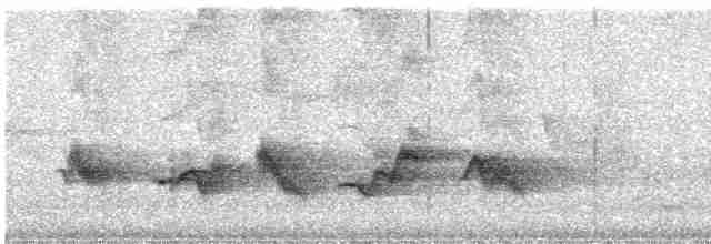 Чернокрылая пиранга - ML619137599