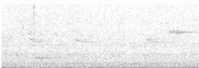 Pine Warbler - ML619137621
