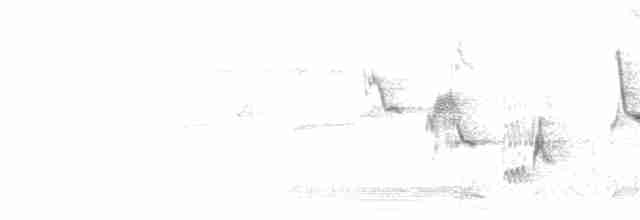 lejsek černohlavý - ML619137833