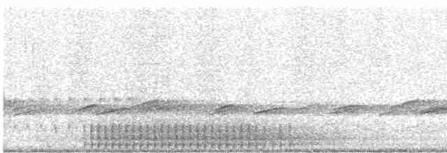 Шилоклювый дятел (auratus/luteus) - ML619138179