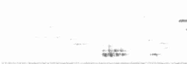 Black-billed Cuckoo - ML619138215