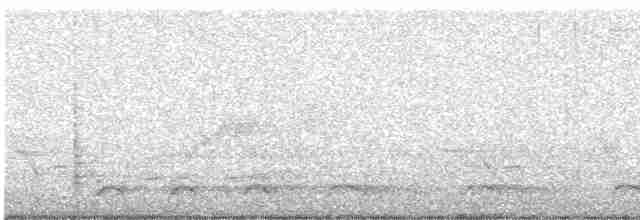 Каролинский крапивник - ML619138362