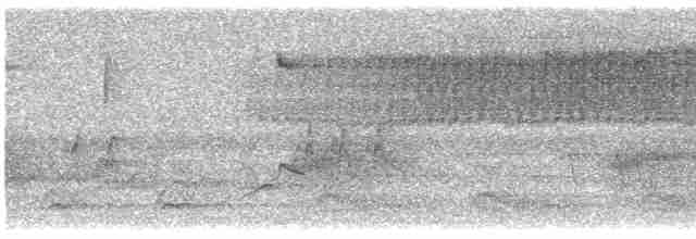 Певун-червеед - ML619138975