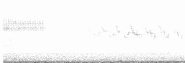 Yellow-rumped Warbler - ML619138988