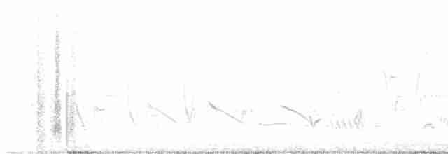 Кактусовый крапивник - ML619139097