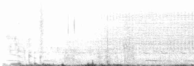 Инкская земляная горлица - ML619139314