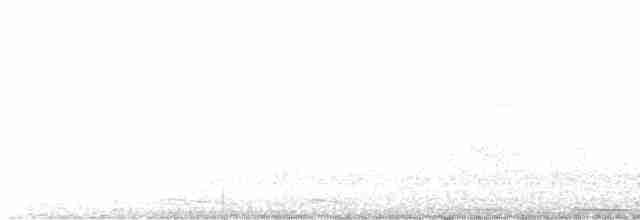 White-tipped Dove - ML619139366