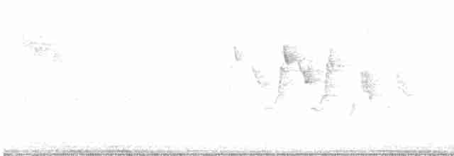 svartbrystparula - ML619139438