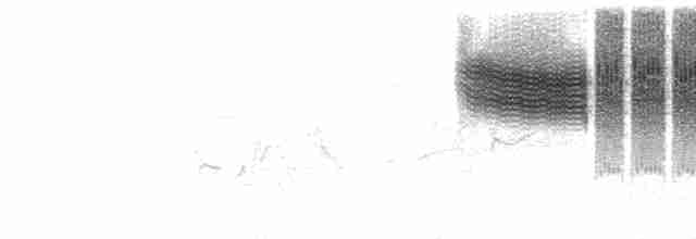 Голубокрылая червеедка - ML619139549