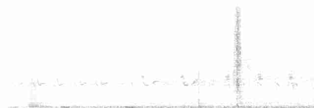 Prairie Warbler - ML619139611