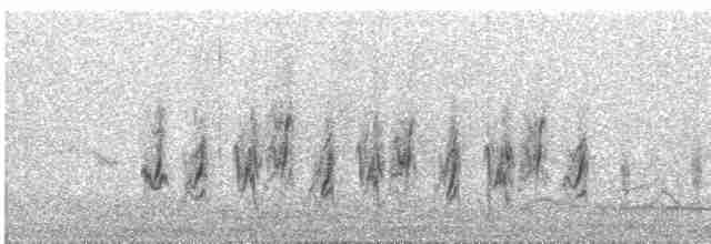 Woodchat Shrike - ML619139665
