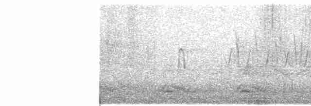 Common Yellowthroat - ML619139727