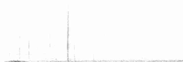 Pileated Woodpecker - ML619139824