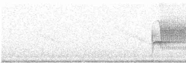 Paruline à calotte noire - ML619140006