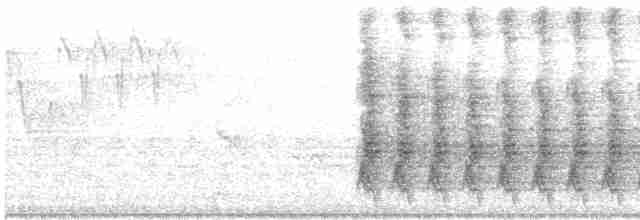 Steller Kargası - ML619140131