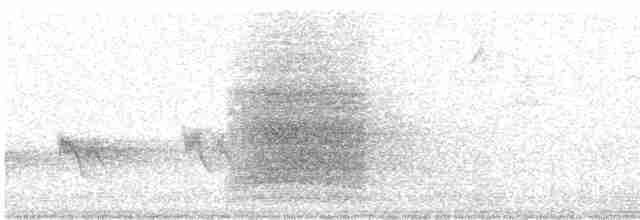 Steller Kargası - ML619140136