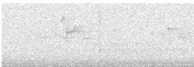 Малая вильсония - ML619140161
