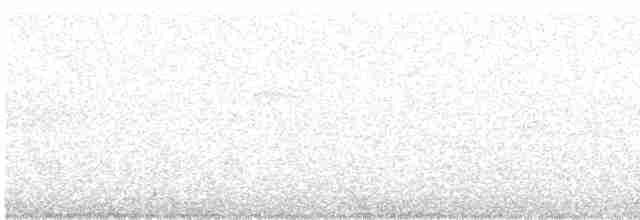 Paruline à calotte noire - ML619140167