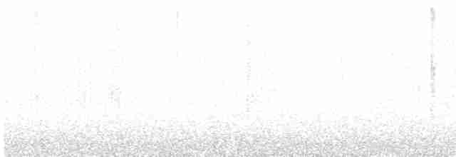 Chara de Steller - ML619140230