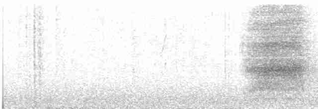 Steller Kargası - ML619140262