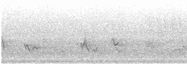 Troglodyte de Baird - ML619140346