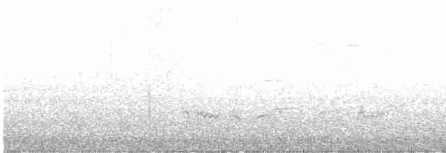 drozd brávník - ML619141356