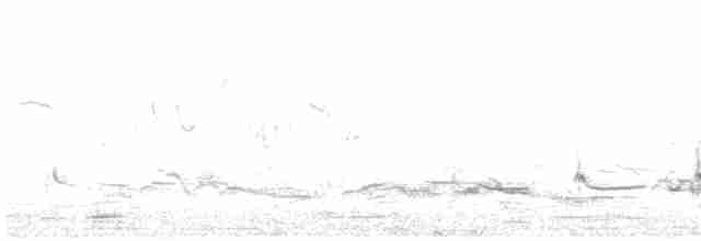 Common Redshank - ML619141507