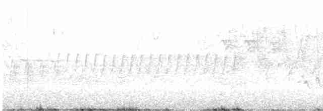 Pine Warbler - ML619141559