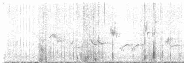Oriole des vergers - ML619142884