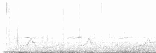 Schwarzkehl-Nachtschwalbe - ML619142996