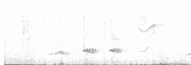 Пересмішник сивий - ML619143681