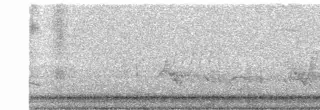 Oriole des vergers - ML619143997