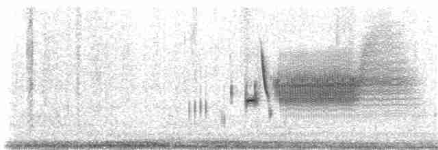 Приморская овсянка-барсучок (maritima/macgillivraii) - ML61914411