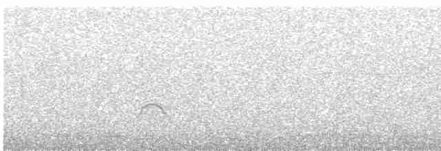 Eurasian Oystercatcher - ML619145316